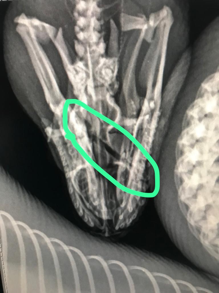 WhatsApp Image 2023 01 12 at 8.11.47 PM 2