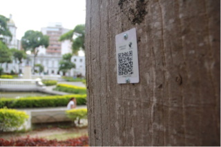 id225a